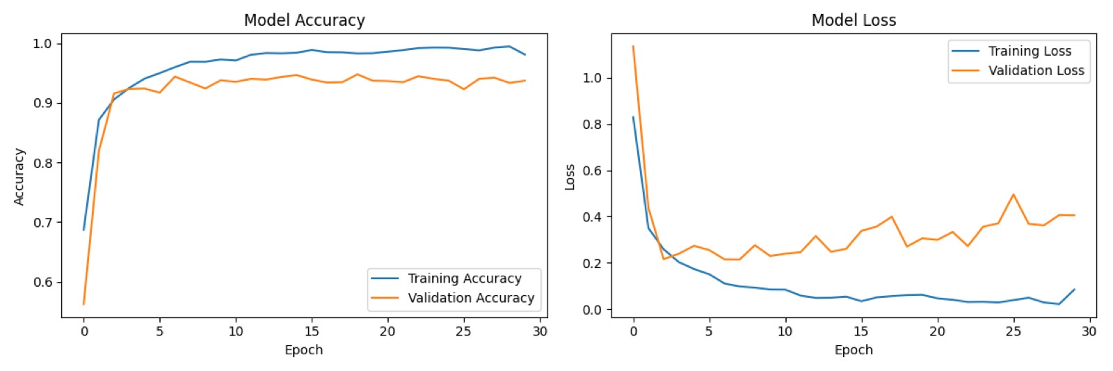Confusion matrix and performance metrics